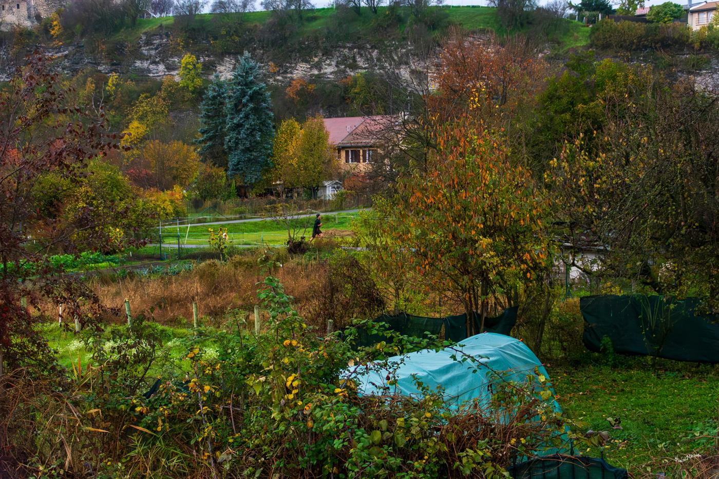 Course solidaire 2025 — photo 44