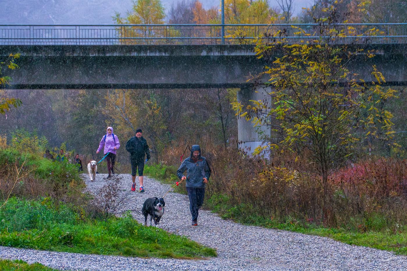 Course solidaire 2025 — photo 64