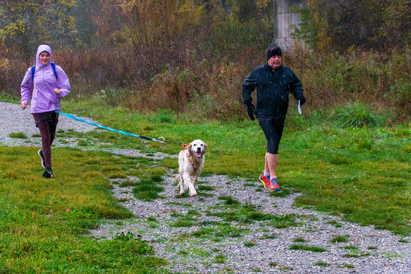 Course solidaire 2025 — photo 65
